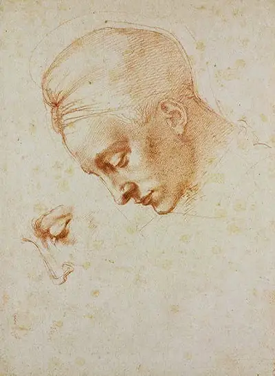 Leda Michelangelo